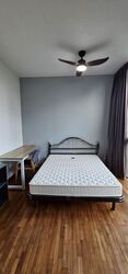 Botannia (D5), Condominium #558633891